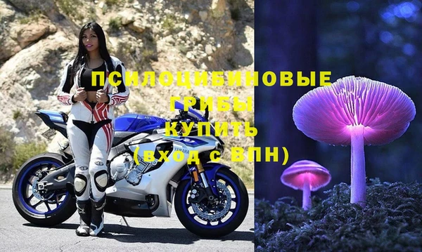 дмт Киреевск