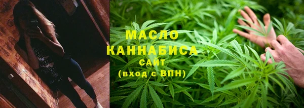 дмт Киреевск